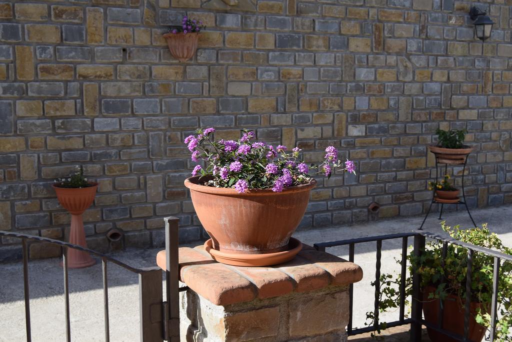 Al Boschetto Apartment Scario Exterior foto